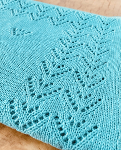 IMG_7137.JPEG